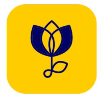 Juffair, Jobs, FLORIST REQUIRED (FLOWER SHOP STAFF)