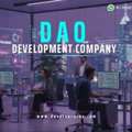 Top DAO Development Company In Singapore | 30% OFF Black Friday Offer &ndash; Developcoins