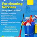 Cleaning Services