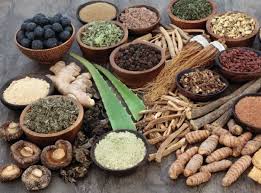 Lucknow, Career Counseling, Mangalayatan Ayurveda Medical College And Research Centre Aligarh