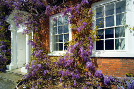 London, Businesses For Sale, High-Quality Timber Doors For Sale In Surrey