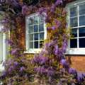 High-Quality Timber Doors For Sale In Surrey