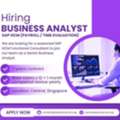 Hiring Senior Business Analyst - SAP HCM In Singapore - Base Camp Recruitment