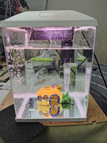 Riyadh, Pet Supplies, SAR 125,  Aquarium With 6 Fishes For Sale