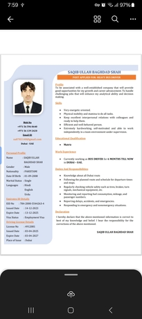 Dubai, Job Seekers, Heavy Bus And Light Vehicle Driver