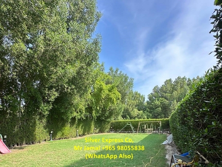 Mubarak Al-Kabeer, Apartments/Houses, KWD 650/month,  2 BR,  100 Sq. Meter,  2 Bedroom Modern House With Sharing Garden In Abu Hasaniya.