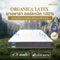 Ecoflex Mattress