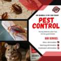 🇵🇰.PAKISTANI PROFESSIONAL PEST🔷CONTROL SOLUTION🔷SERVICE BEST PRICE=(0571-866433 )