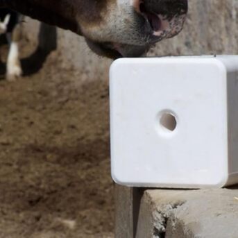 Milan, Food, EUR 9,  Blocco Di Sale Agritura &ndash; Respiro Pulito E Forza Naturale Per Il Bestiame