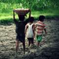 Causes Of Child Labour In India