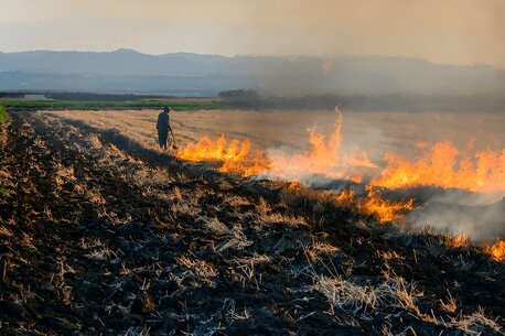 Mumbai, Local News, Stubble Burning