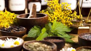 Lucknow, Career Counseling, Rohilkhand Ayurvedic Medical College, Bareilly