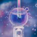 Best IVF Treatment: Affordable & Advanced Fertility Solutions