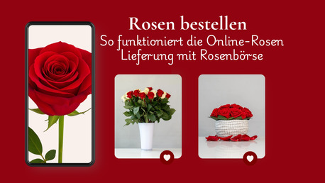 Geneva, Farm & Garden, Blumen Bestellen Schweiz: So Funktioniert Die Online-Rosen-Lieferung Mit Rosenb?rse