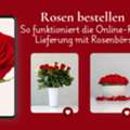 Blumen Bestellen Schweiz: So Funktioniert Die Online-Rosen-Lieferung Mit Rosenb?rse