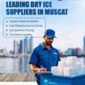 Reliable Solutions For Dry Ice In Muscat: Your Ultimate Guide