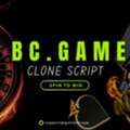 Own A Blockchain Casino Without Coding - BC.Game Clone Script