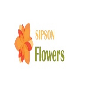 London, Business Partners, Flowers Sipson