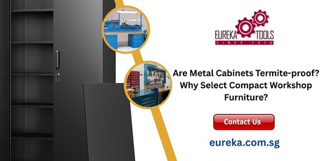 Singapore, Business, Are Metal Cabinets Termite-proof? Why Select Compact Workshop Furniture?
