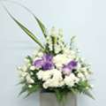 Elegant Condolences Flowers In Singapore &ndash; Order With Well Live Florist