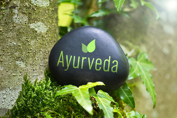 Lucknow, Career Counseling, R.B. Ayurvedic Medical College & Hospital, Agra