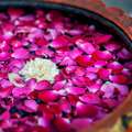 S.R.S. Ayurvedic Medical College And Hospital, Agra