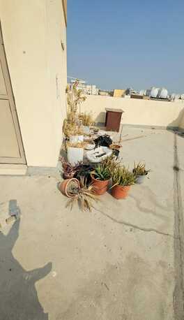 Muharraq, Apartments/Houses, BHD 100/month,  Studio,  Unfurnished Studio Flat For Rent With Ewa Unlimited