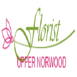 London, Business Partners, Florist Upper Norwood