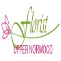 Florist Upper Norwood