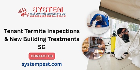 Singapore, Business, Tenant Termite Inspections & New Building Treatments SG+65 6748 8966