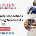 Tenant Termite Inspections & New Building Treatments SG+65 6748 8966