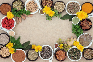 Lucknow, Career Counseling, Bhagwant Ayurvedic Medical College,Bijnor