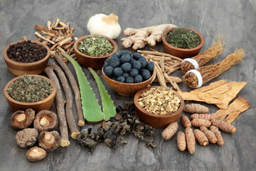 Lucknow, Career Counseling, Shanti Ayurvedic Medical College, Ballia