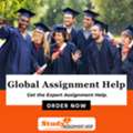 Looking For Global Assignment Help? Checkout- Studyassignmenthelp.co.uk