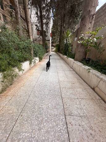 Amman, Rooms Available, JOD 220/month,  Furnished,  16 Sq. Meter,  Private Room, In A Shared Flat In Jabal Al-Lweibdeh &ndash; Utilities Included