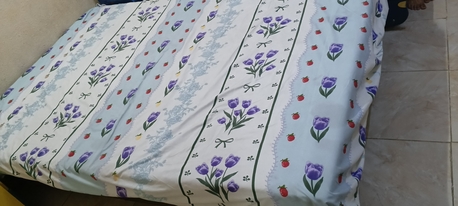 Hara, Furniture, SAR 100,  Car Bed