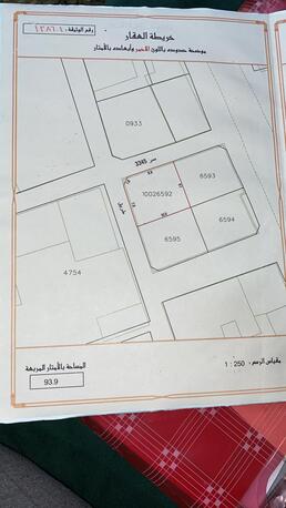 Paris, Agricultural Land, 38000,  93 Sq. Meter,  Land For Sale In Al-Malikiyah