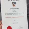 Buy Fake National University Of Singapore Diploma