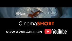 Singapore, Event Planning, 6 Essential Tips For Aspiring Documentary Filmmakers