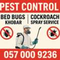 ✅✅✅ PEST CONTROL | BED BUGS | COCKROACH SPRAY SERVICE &ndash; KHOBAR ✅✅✅
