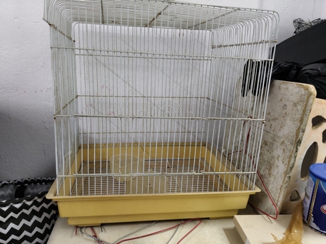 Khobar, Pet Supplies, SAR 15,  Birds Cage For Sale