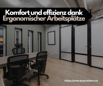 Geneva, Furniture, CHF 2,  Komfort Und Effizienz Dank Ergonomischer Arbeitspl?tze