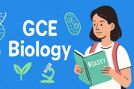 Lahore, Lessons Offered, Best Online Tuition For Your Children!