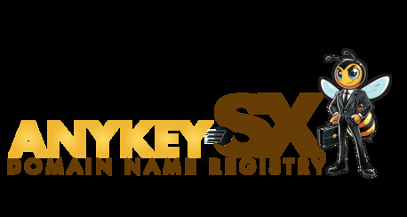 The Hague, Software Development, Get Fast And Reliable Domain Registration Services For Your Online Success