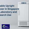 Reliable Upright Freezer In Singapore For Laboratory And Research Use