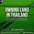 Clear Insights On Owning Land In Thailand For Buyers Today