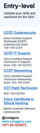 Dubai, Lessons Offered, My Private IT Tutor In Dubai - CCNA CCNP CEHv13