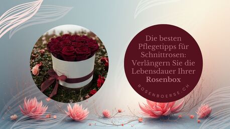 Geneva, Farm & Garden, CHF 5,  Die Besten Pflegetipps F?r Schnittrosen: Verl?ngern Sie Die Lebensdauer Ihrer Rosenbox