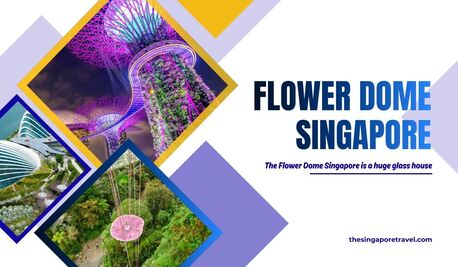 Singapore, Travel, Discover The Stunning Flower Dome Singapore &ndash; Gardens By The Bay