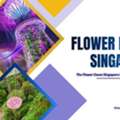 Discover The Stunning Flower Dome Singapore &ndash; Gardens By The Bay